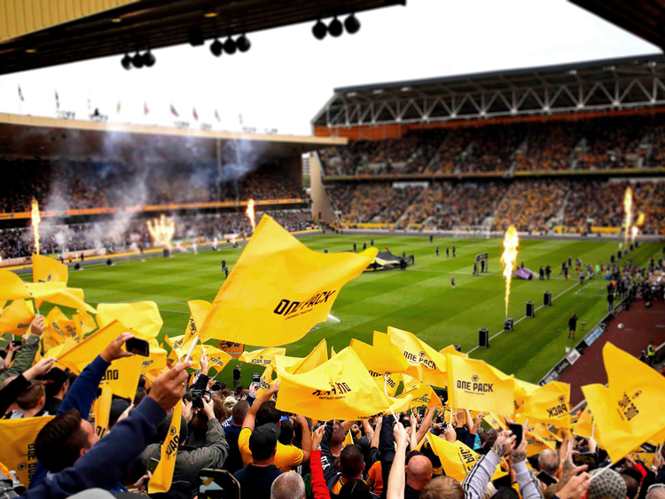 Wolves足球俱樂部品牌標(biāo)志vi設(shè)計(jì)