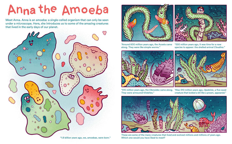 自然歷史博物館中的兒童活動IP動漫形象設計