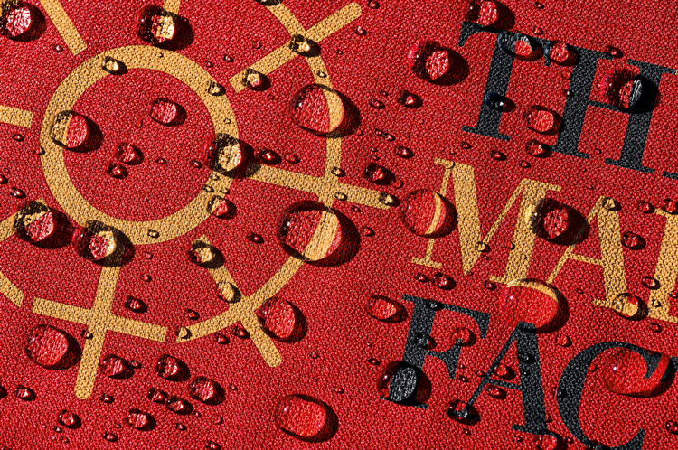 女性教育慈善機構(gòu)MaidenFactor品牌升價改造，logo設(shè)計