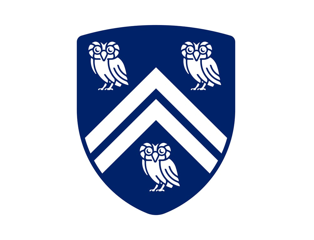 萊斯大學(xué)vi設(shè)計(jì)，品牌形象改造，logo設(shè)計(jì)